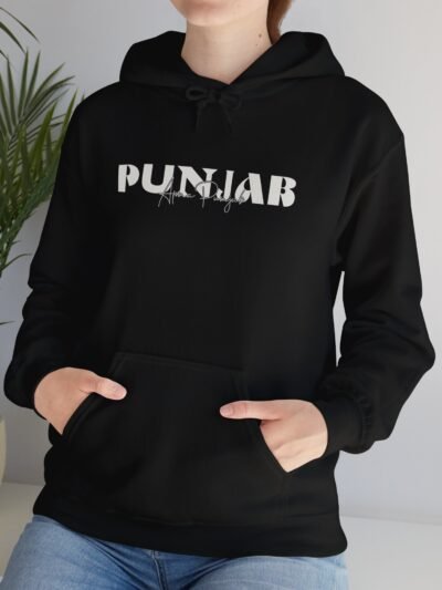 Punjab Heavy Blend™ Hooded Sweatshirt