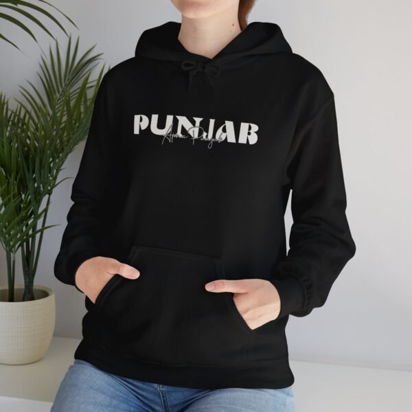 Punjab Heavy Blend™ Hooded Sweatshirt